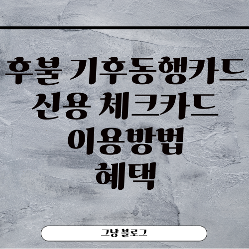 후불 기후동행카드-썸네일