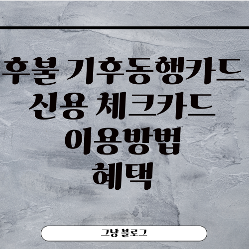 후불 기후동행카드-신용-체크카드-이용방법