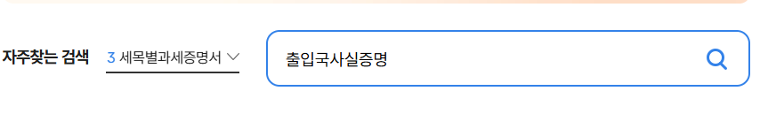 출입국사실증명서