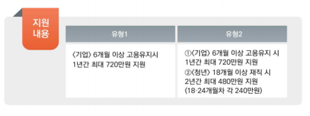 청년일자리도약장려금-사업 내용-유형 2
