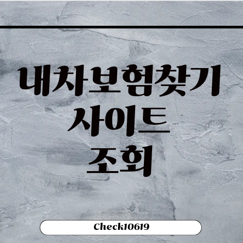 내차보험찾기 사이트 조회 1분컷