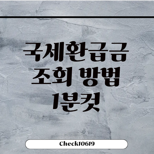 국세환급금 조회 신청 방법