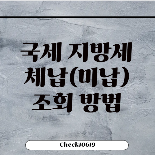 국세 지방세 체납 조회 방법